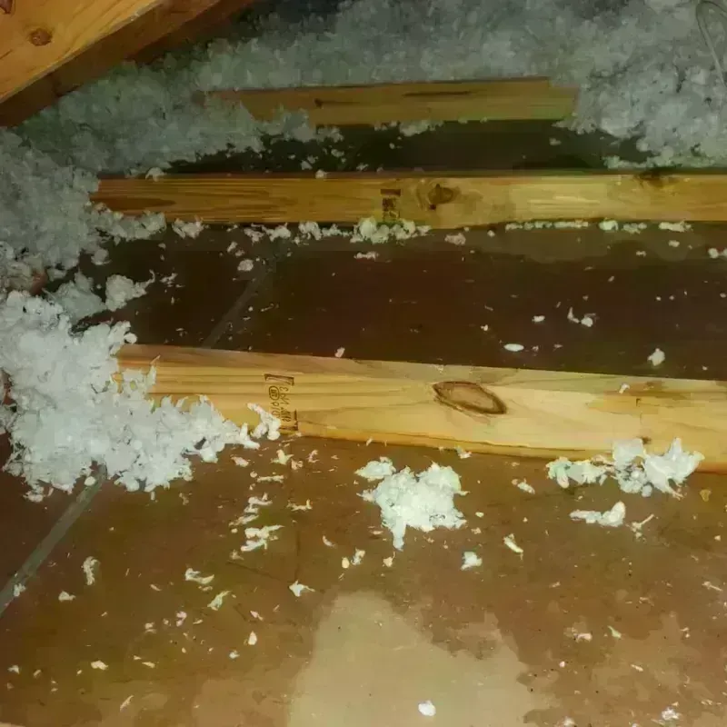 Attic Water Damage in Seagraves, TX